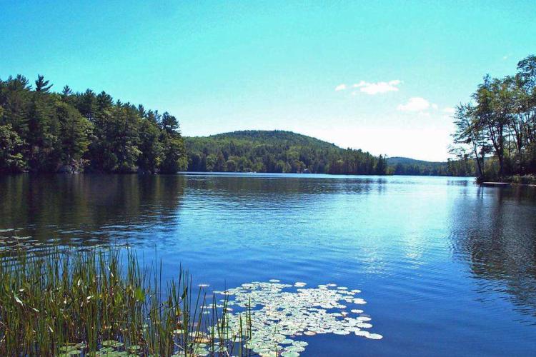 NH Land Conservation Report Forest Society