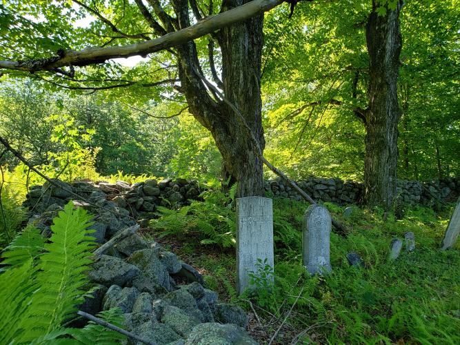 Old Cemetery in the woods