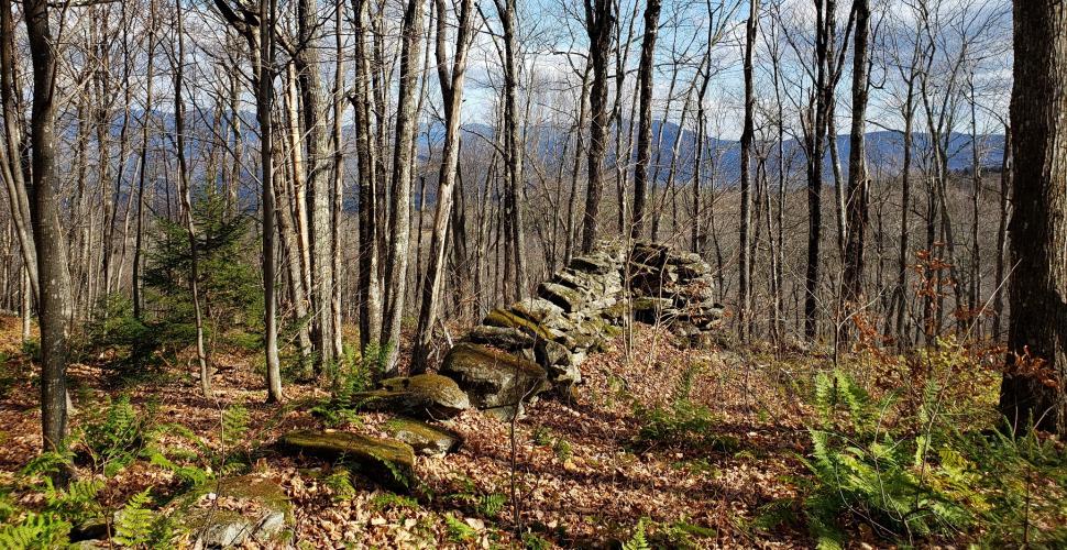 Old stone foundation - stone wall - rock wall - woods – forests