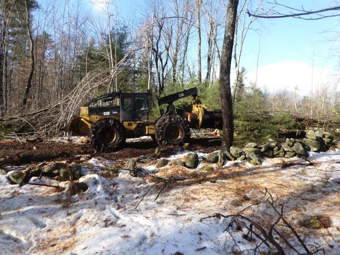 A grapple skidder moves wood to the landing during a timber harvest on David Wilson Land, Sharon, NH.  SPNHF photo.