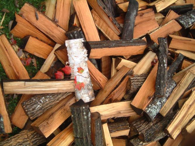 various pieces of hardwood cordwood piled, red maple leaf on top