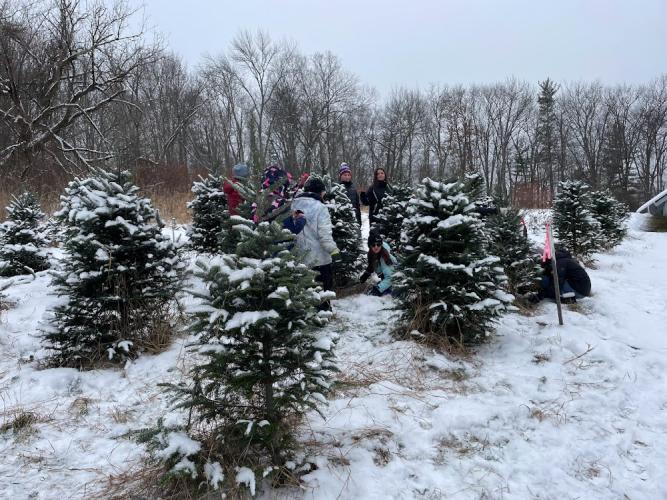 Students get ready to harvest their Christmas trees.