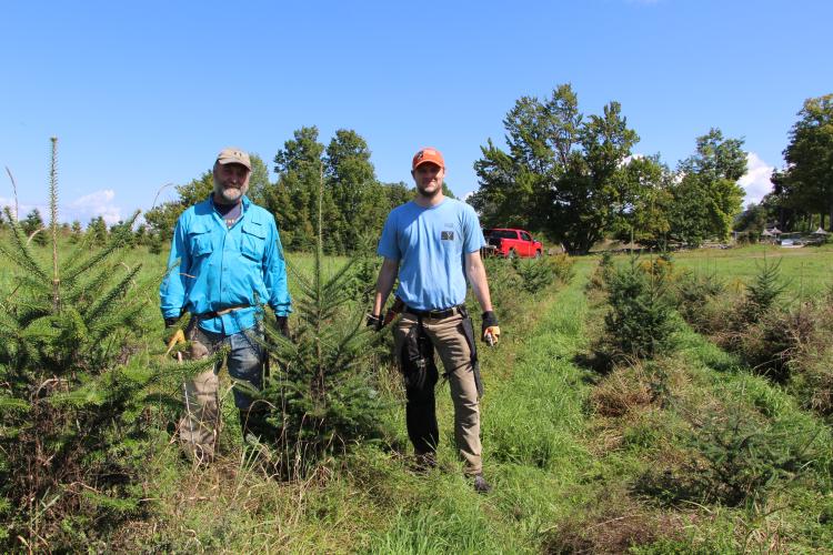 Nigel and Cam pose while working with fir saplings at The Rocks.