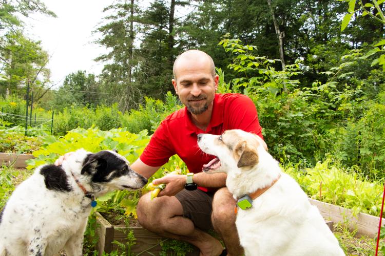 A man in a red shirt sits between two medium sized dogs